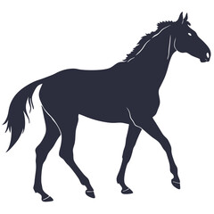 silhouette horse on white background 