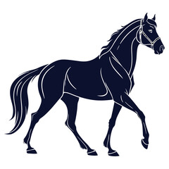 silhouette horse on white background 