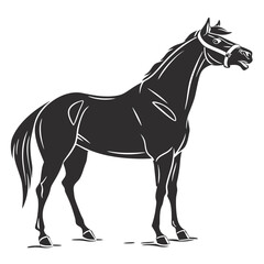 silhouette horse on white background