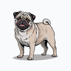 Obraz premium adorable standing pug dog vector illustration