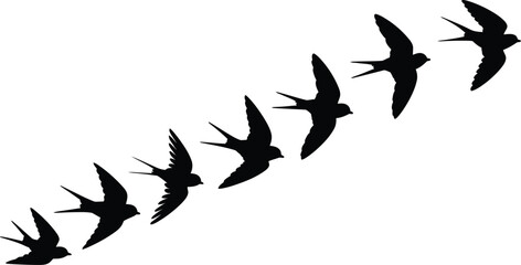 Fototapeta premium Seven Black Swallows in Flight Curved Pattern Silhouette