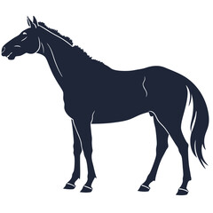silhouette horse on white background