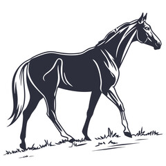 silhouette horse on white background