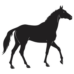 silhouette horse on white background