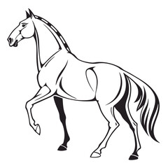 silhouette horse on white background