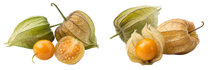 Peruvian groundcherry