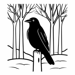 A black carrion crow on a white background