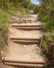 Wooden steps with exposed roots along a hiking trail in a forested mountain are