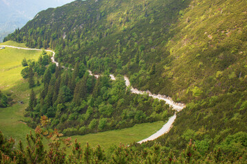 Winding mountain road through lush green forest in the Bavarian Alp