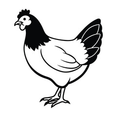 Vector illustration of a chicken