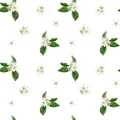 Seamless pattern with white orange blossom flowers and inflorescences. Small white orange flowers. Leaves and petals. Watercolor illustration isolated from the background. Hand drawing. textile
