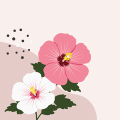 The flower stands out against a minimalistic, light-colored background with gentle pastel accents