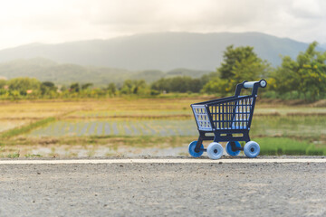 Miniature Shopping Cart on Rural Road with Scenic Mountain Views