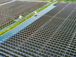 Solar photovoltaic panels and highway