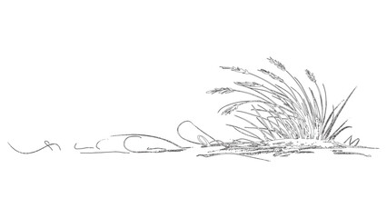 Rustic grass tufts with swirls in vintage ink drawing