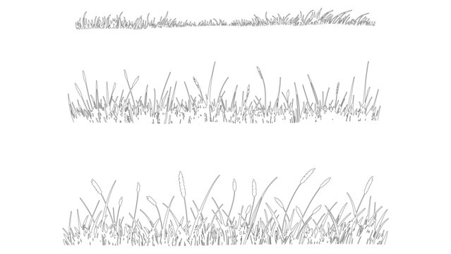 Layered grass silhouettes with tall meadow blades
