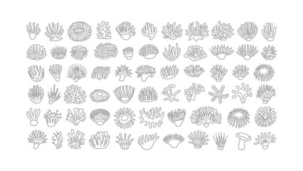 Doodle style sea coral illustrations in black and white