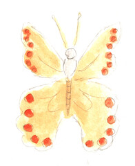 Yellow butterfly, insect. Watercolor illustration, hand drawn modern freehand new