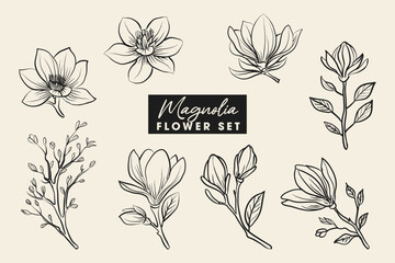 Set of magnolia flower line hand drawn clipart template.