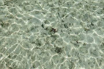 "Close-up of crystal clear shallow sea water with natural sunlight reflections creating abstract wave patterns â€“ perfect for backgrounds or nature concepts."