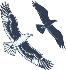 Obraz premium Elegant bird design featuring soaring eagles perfect for logo branding and graphic design projects