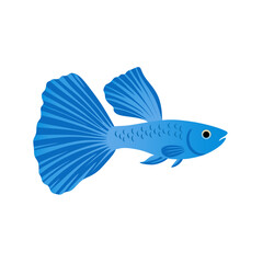 A vibrant blue guppy vector illustration with large flowing fins. Ideal for aquarium-themed projects, aquatic decor, and playful underwater design elements.