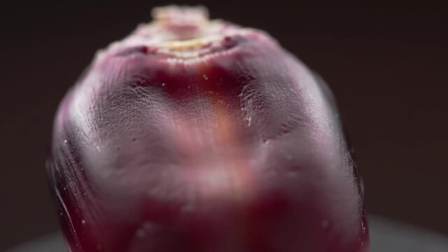 Close up shot of a red and white garlic bulb with a dark brown background in soft focus