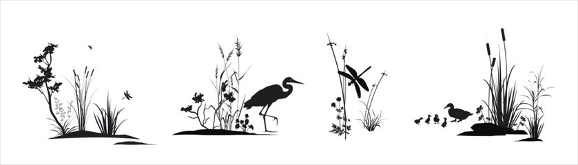 Thickets of reed, cane, cattail, sedge grass, bushes, other marsh plants with dragonflies, bird heron, ducks and ducklings. Swamp flora and fauna monochrome isolated silhouette landscape drawings set.