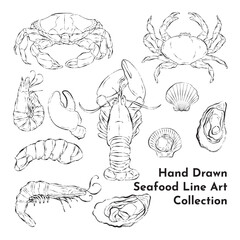 Hand Drawn Seafood Line Art Collection