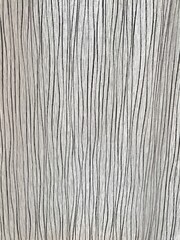 Fototapeta premium texture of the wood