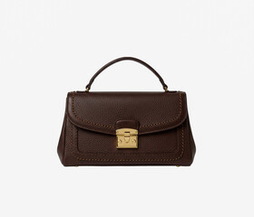 Purse isolated on white background.