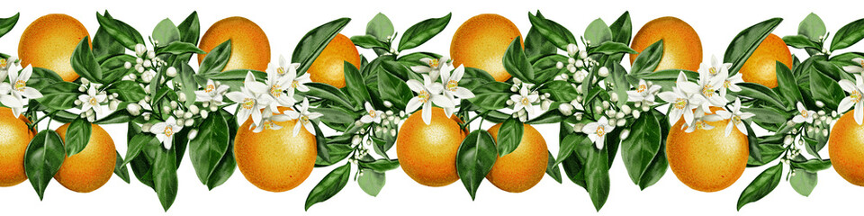 Seamless border of orange fruits and flowers. Branch with citrus white flowers and leaves. Fruits and blooming in spring. Watercolor illustration isolated from background. Hand drawing.