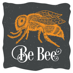 Detailed Bee Illustration with Vintage Design Elements and Handcrafted Lettering Style