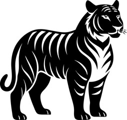 tiger vector illustration