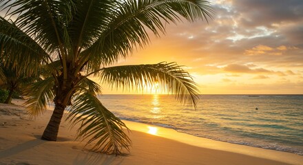 Palm Leaf Captures Tropical Tranquility as Sunset Colors Illuminate Peaceful Ocean Horizon