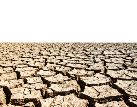 Dry cracked earth surface with deep fissures showing drought and arid conditions