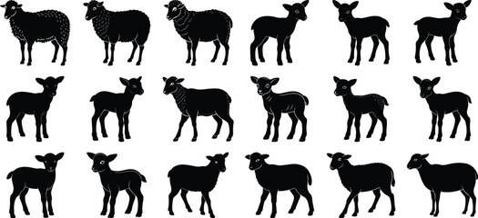Big and Lamb Sheep Silhouette set, on white background.