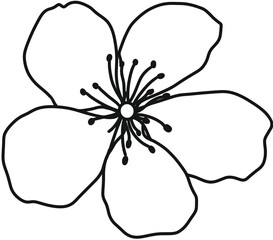 꽃
