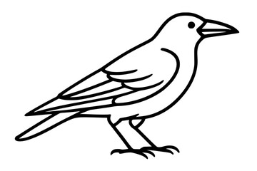 Vector Illustration of Crow in Side Profile