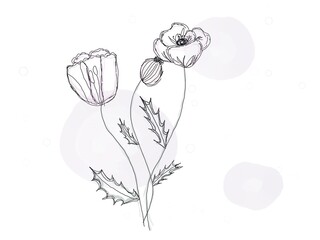 bouquet of white tulips