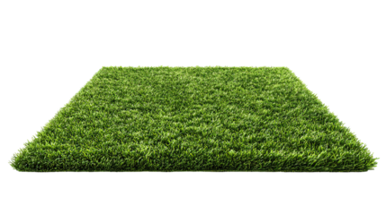 Isolated Thin Laveled Rectangular Green Grass Rug on Transparent Background

