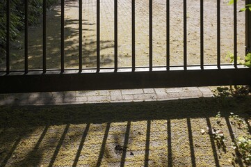 Closed metal gate casting shadows on mossy ground