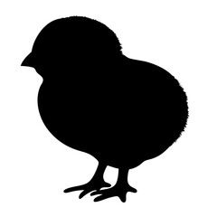 A cute silhouette of a baby chick standing upright in plain background