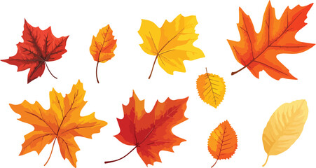 Collection of Colorful Autumn Leaves on White Background Featuring Maple Oak and Other Varieties in Shades of Red Orange and Yellow Perfect for Fall Designs