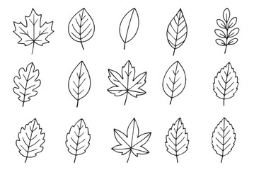 Autumn leaves doodle style. Set of hand drawn autumn forest leaves. Fall season design elements, clip art.