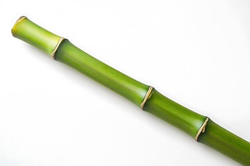Vibrant Green Bamboo Stalk Section Displayed on Clean White Backdrop in Sharp Studio Lighting
