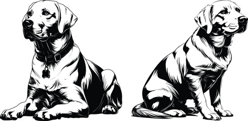 Two Dogs Standing Alert Position Black White Line Art
