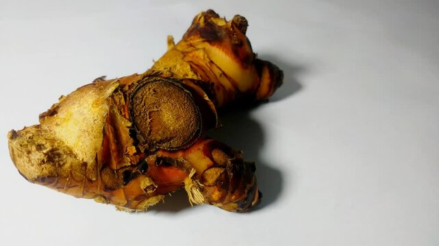 Galangal kitchen spice or often called laos, with brown, orange and red color patterns.