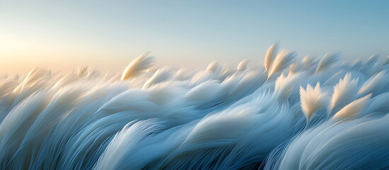 A stretch of pampas grass sways gently in the breeze