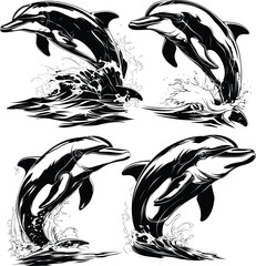 Multiple Dolphins Water Elements Black White Line Art